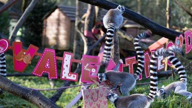 Zoológico del Parque Esmeralda