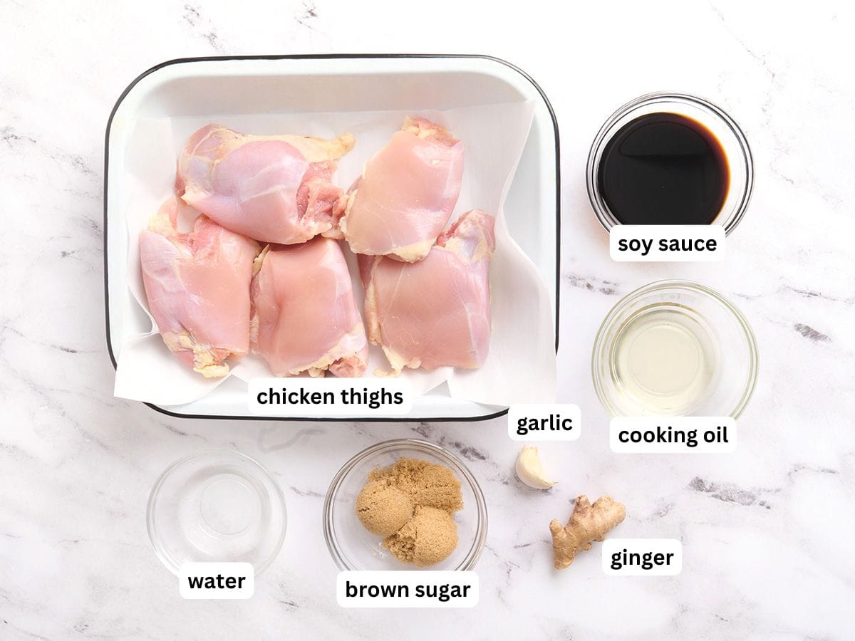 Los ingredientes para pollo teriyaki fácil con etiquetas.