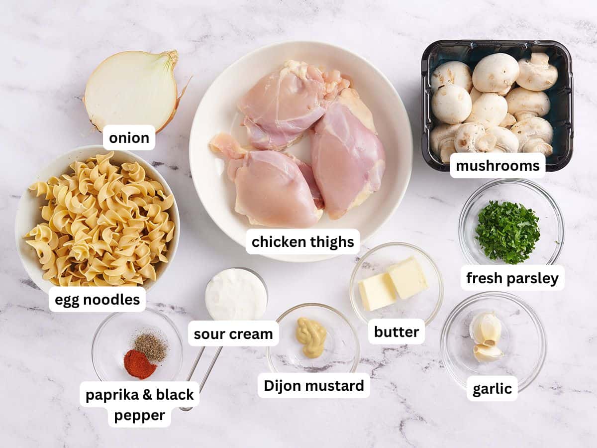 Los ingredientes para hacer pollo stroganoff con etiquetas de ingredientes.